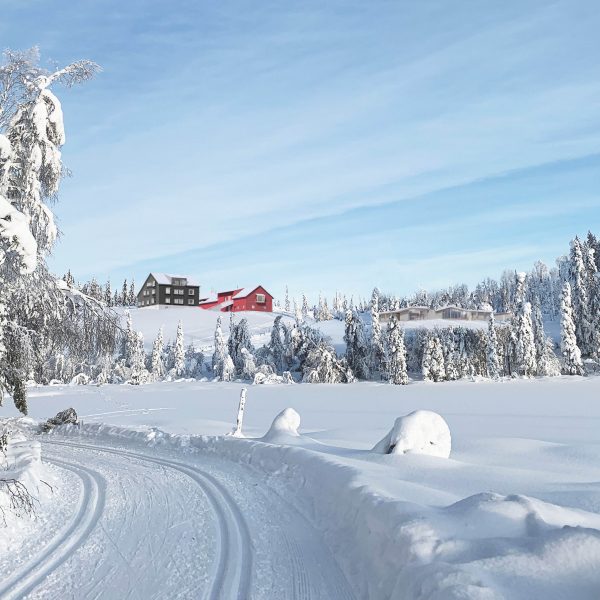 01 Fra Trantjern Vinter