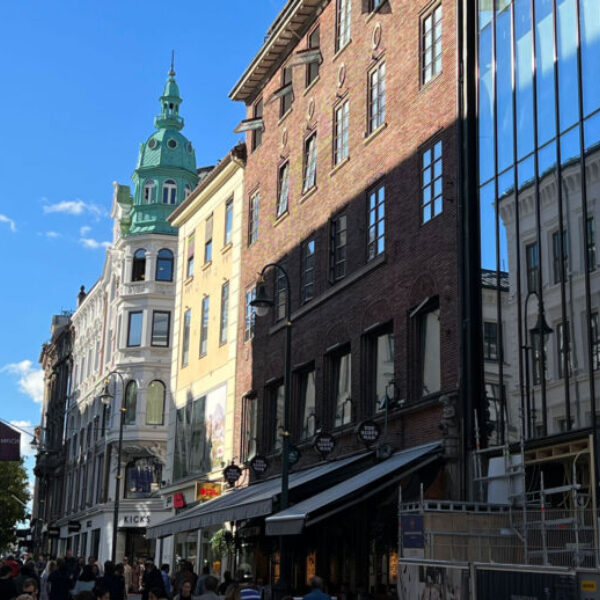Meteva sitt bilde